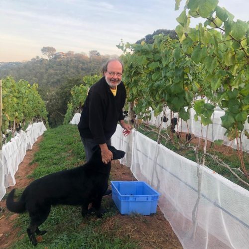 0158172f-3ae0-4dc0-9e77-90b5bb0ec286