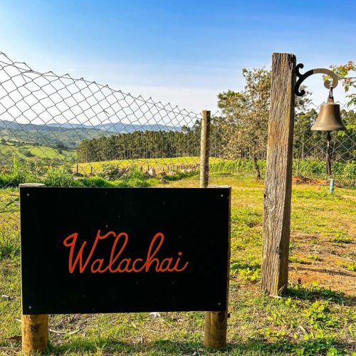 140c8e7f-beba-4a8a-80bf-b5103e3e1460