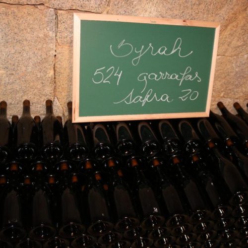 25129517-57c2-42c1-8e0e-a65c8efc3974