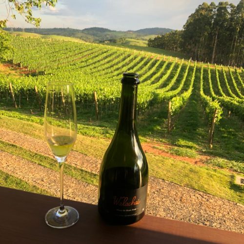 2c5fa905-9d37-4d80-be89-8f29c8a39b7f