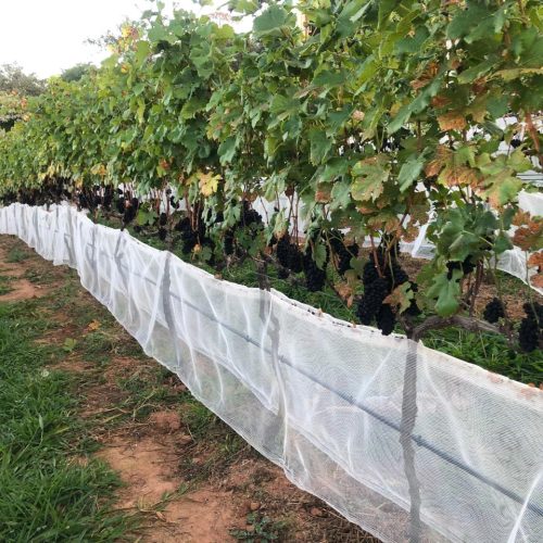 2ef04b02-6724-4e08-be52-5f47258b55a3