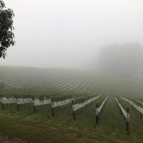 32b38061-c7c3-4486-bfa2-f19a0ed58777