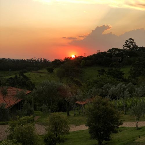 39b1bd01-33e5-46c5-9e0c-886575477f73