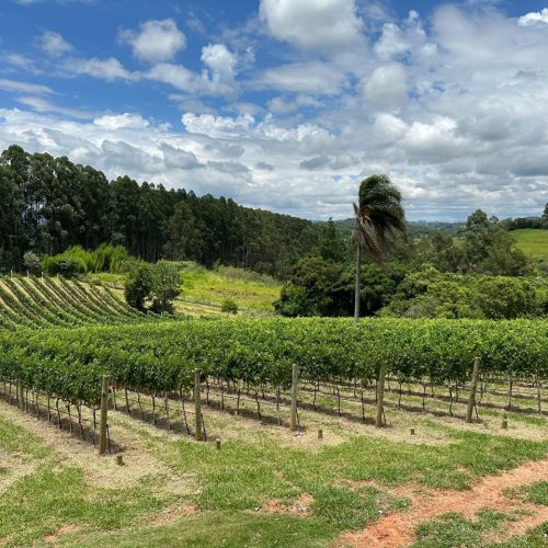 3ed7a7cd-fcaf-40aa-a57b-0c4af723c0ce