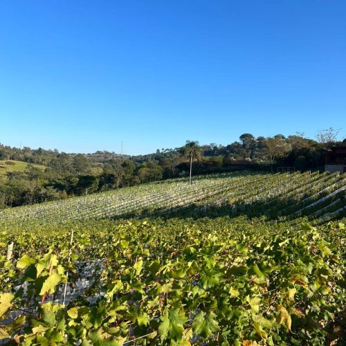 40be8e6a-706d-4932-a09f-c488074205d1