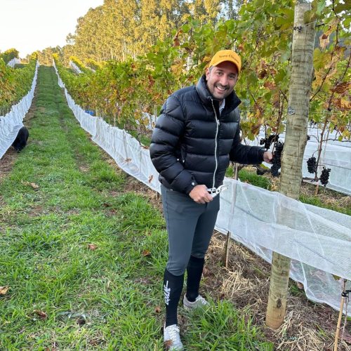 587e371f-8ba3-4d65-8435-8f1a280dfc08