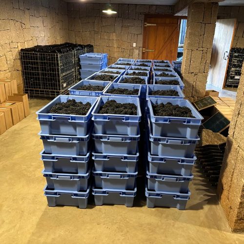 61d7107b-76bc-40c7-afce-e816fb9067ec