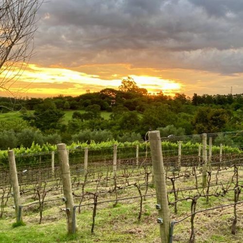 7183c7cb-e503-43cd-a0d9-a615ab149af1