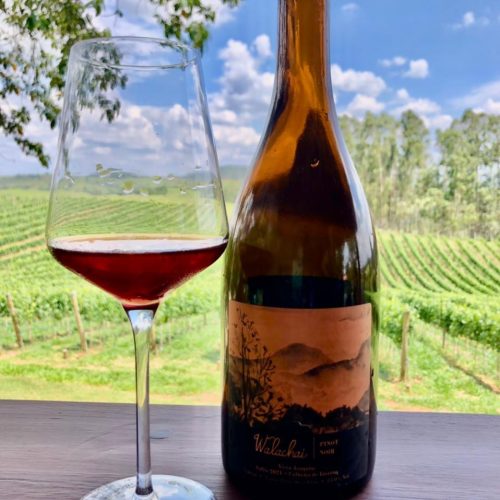 72011dd2-e0ff-4438-bd55-11b8406627a5