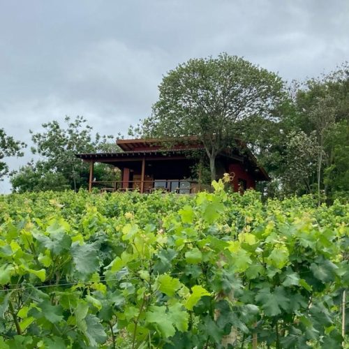 8550f69c-f0e6-4138-945c-6a60d2f4f256