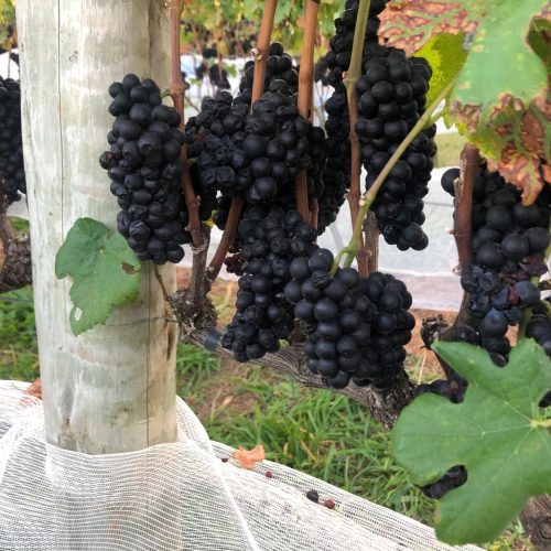 9be683ba-c424-4a08-9d2f-9e2c3bb81b03