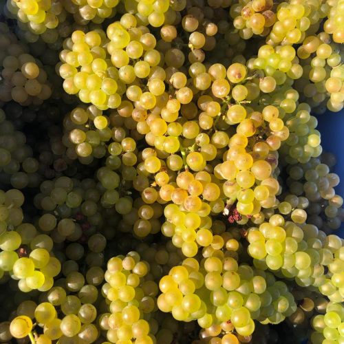 a8d97c77-ba39-47c7-917c-a5285f677460