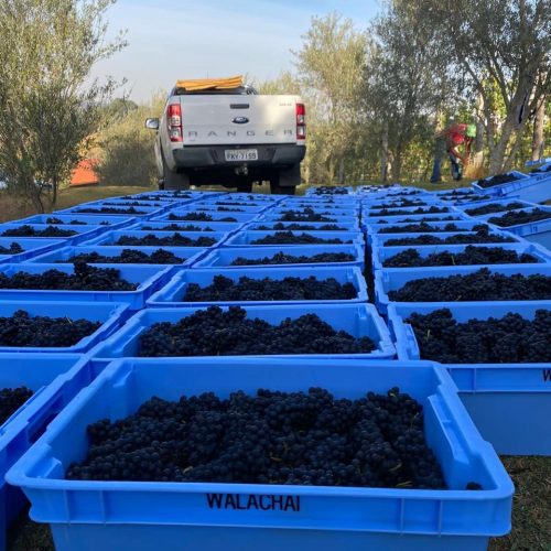 c860df1c-891d-44e5-80bd-040716a30a2b