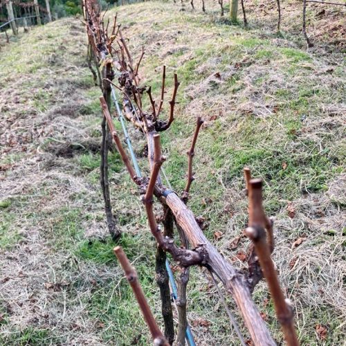 c88e5e34-76df-4780-a2ba-ae23a29334cf