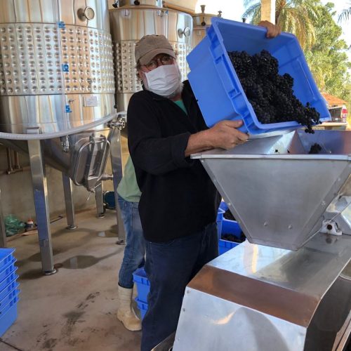 d3ed5b77-2393-488d-b868-2131181f76f4