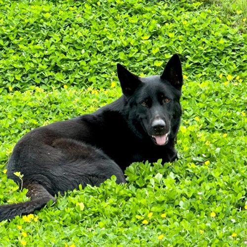 d5a05a24-388f-4deb-8fd0-999294e664ce