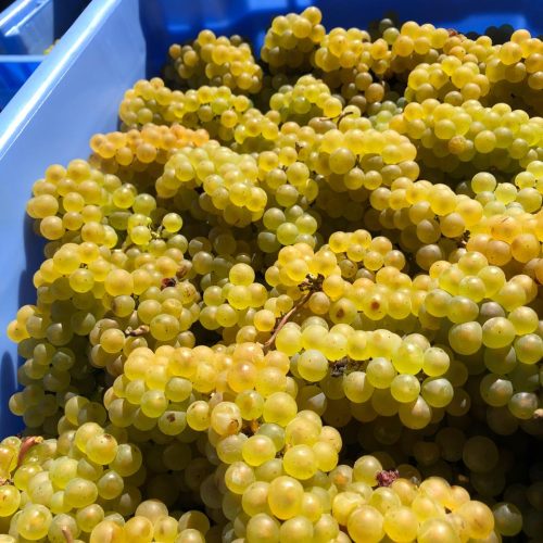 d6bcb587-ce3e-4538-bc49-505a764e6c77