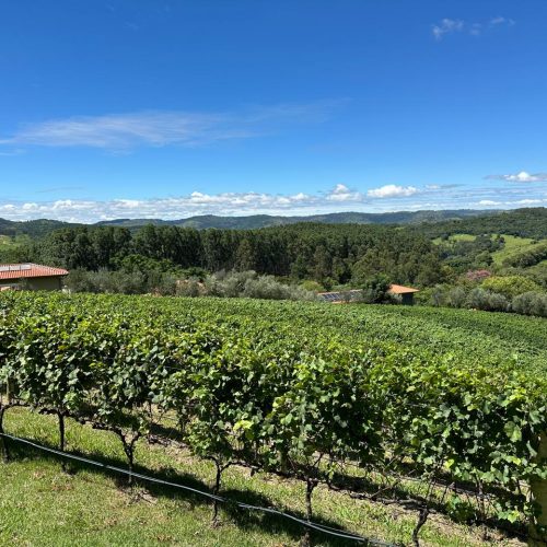 e5b94173-5a98-47b9-bcdb-3a75823df5b1