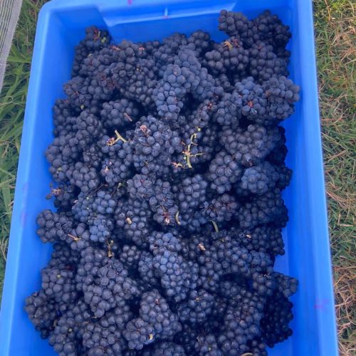 f54af359-18f2-4fcd-bc01-79c3512f800b