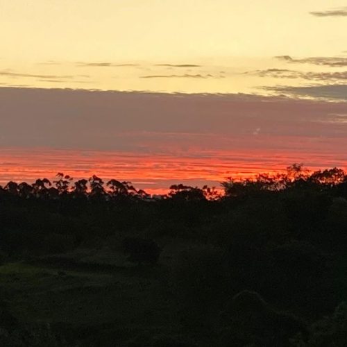 fcd90848-36db-475d-8f41-33ef704aecac